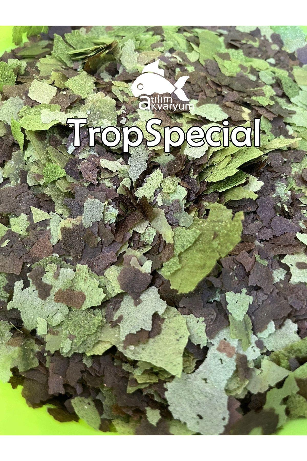 Tropheus Türleri için Özel Pul Yem - TropSpecial 1 Kilogram
