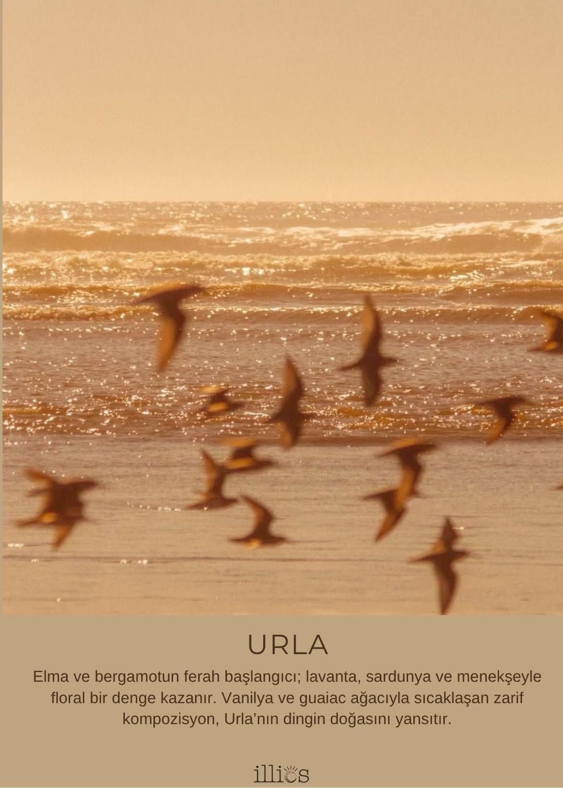 Urla Roll Parfum