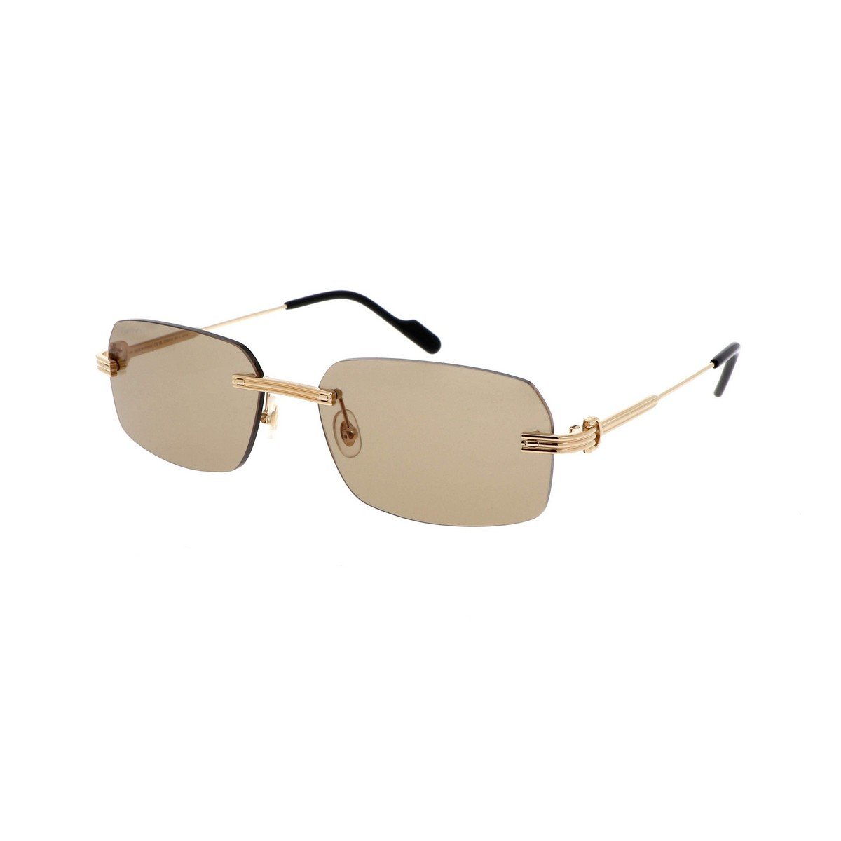 CARTIER CT0271S 58