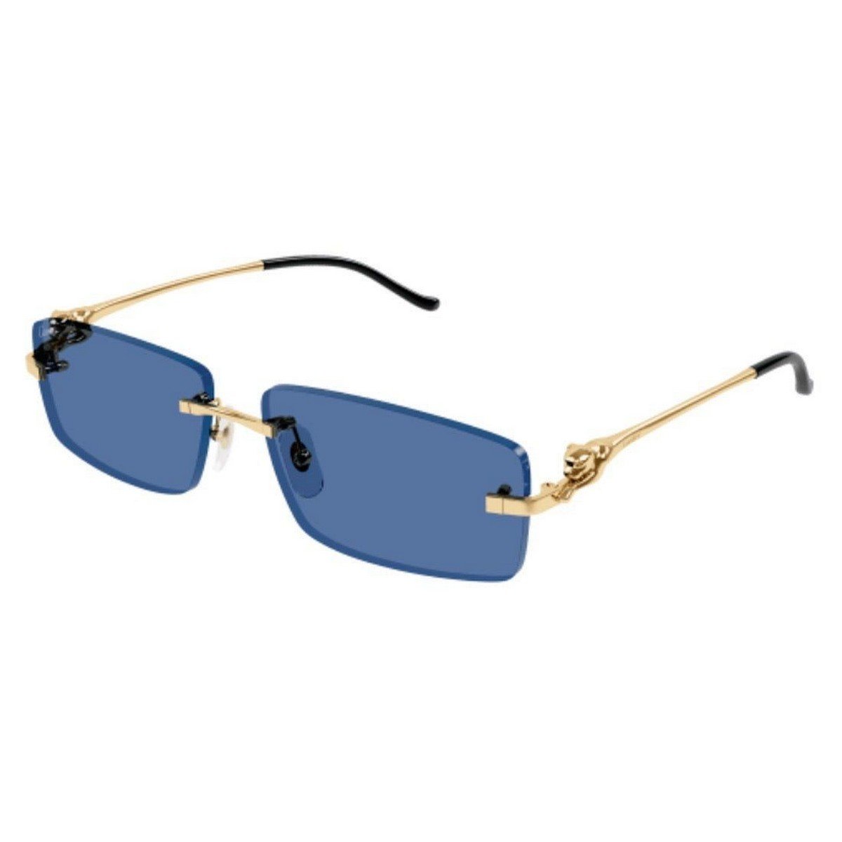 CARTIER CT0430S 58