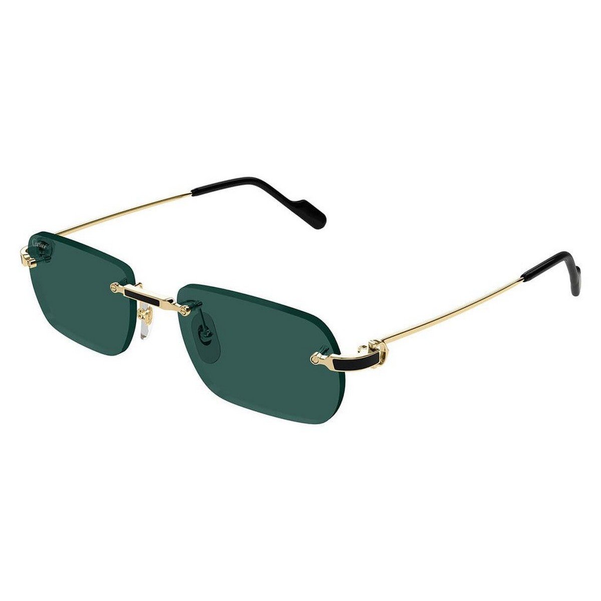CARTIER CT0498S 55