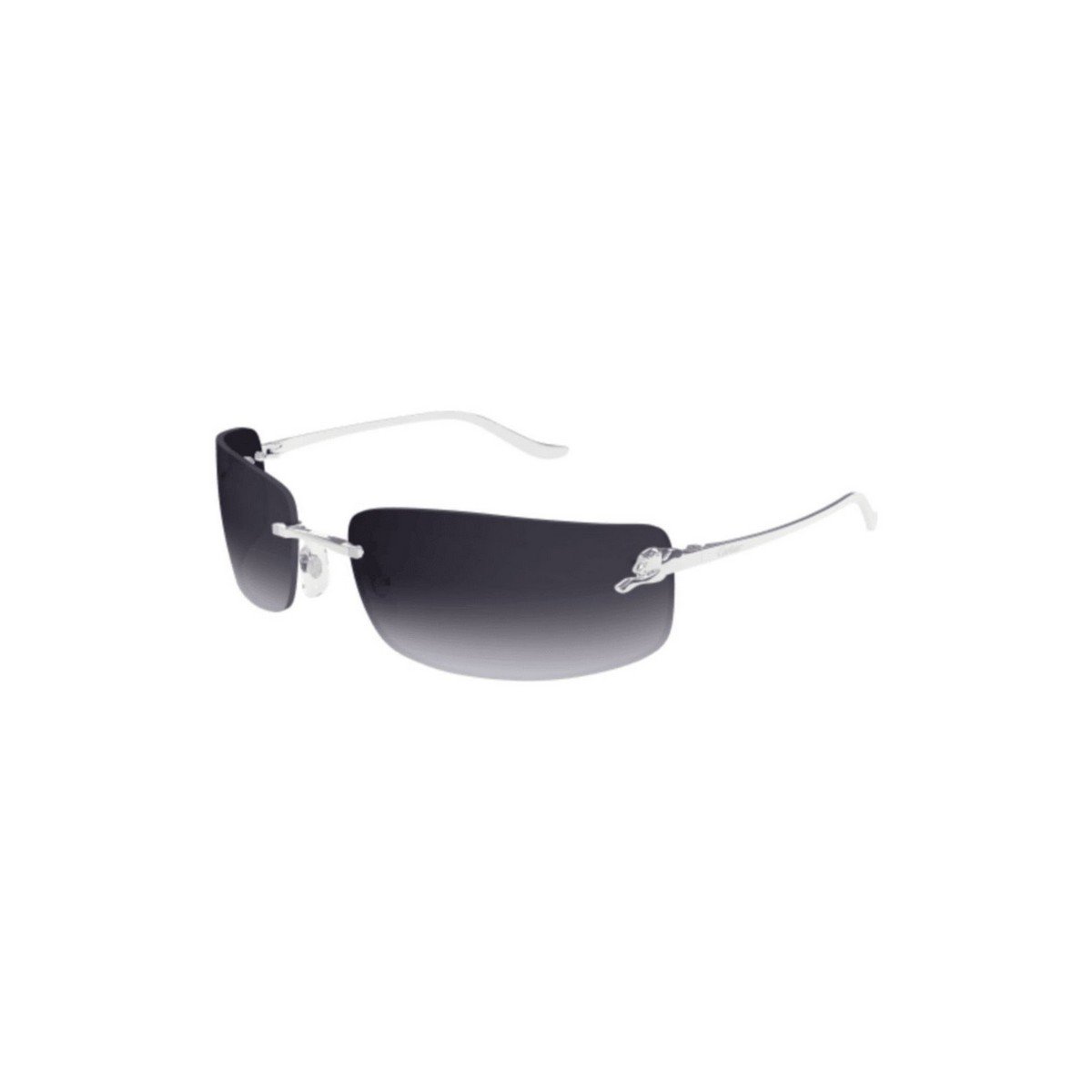 CARTIER CT0503S 71