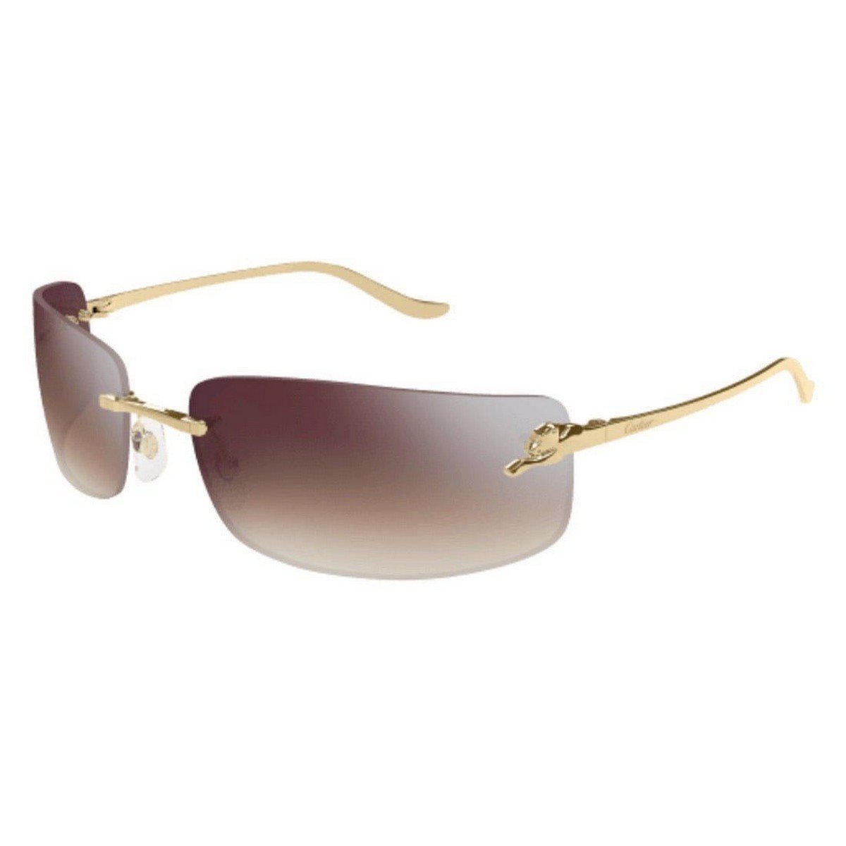 CARTIER CT0503S 71