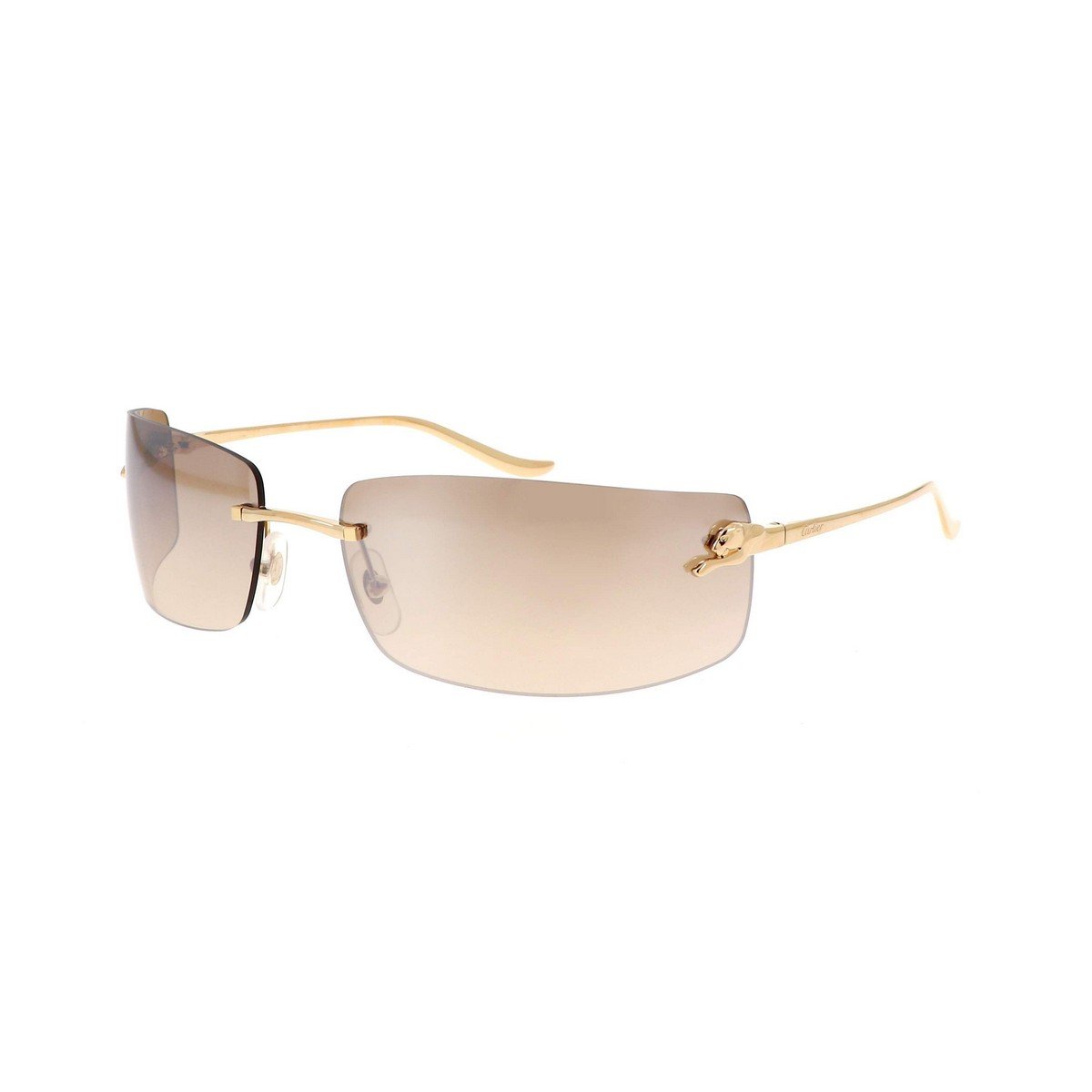 CARTIER CT0503S 71
