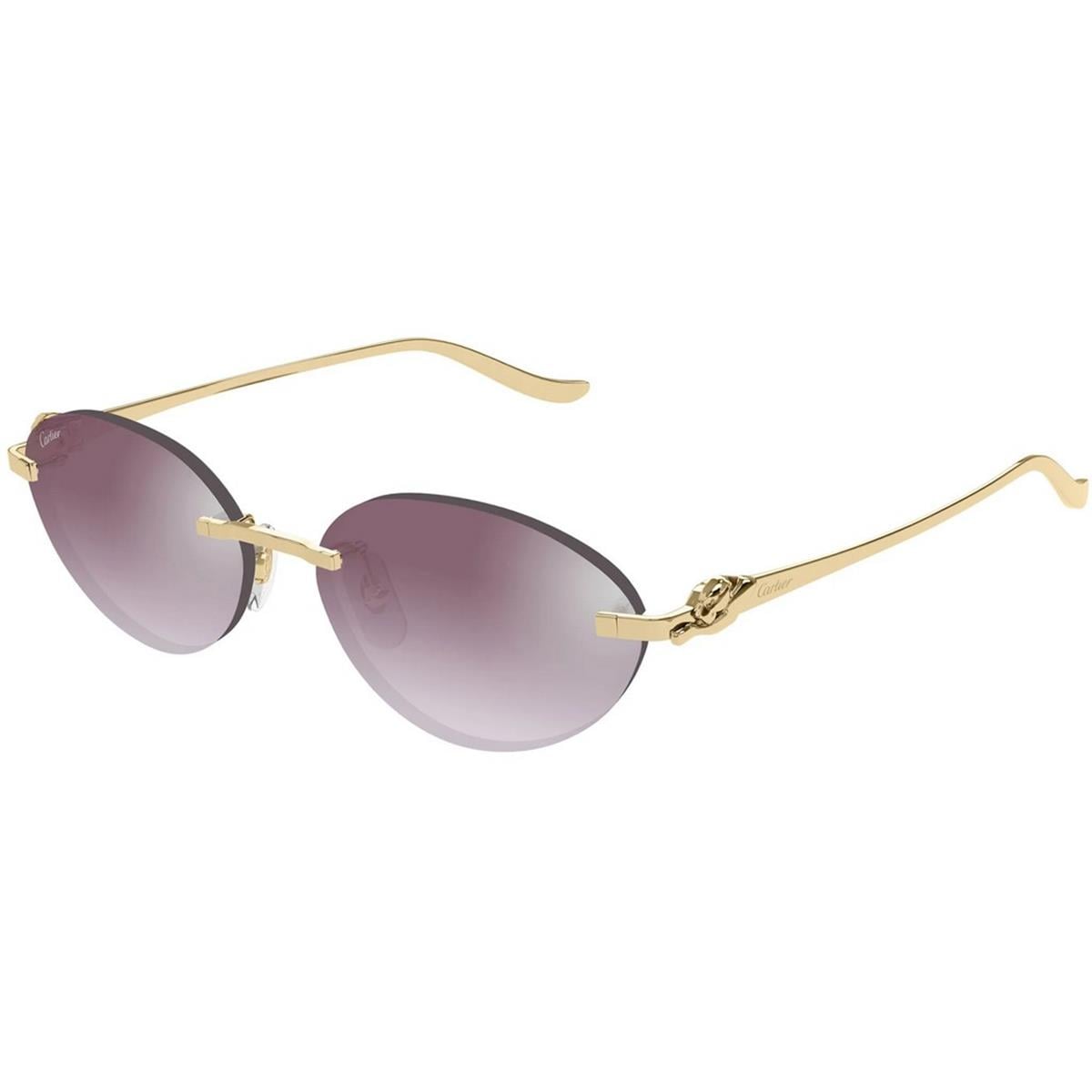 CARTIER CT0504S 58