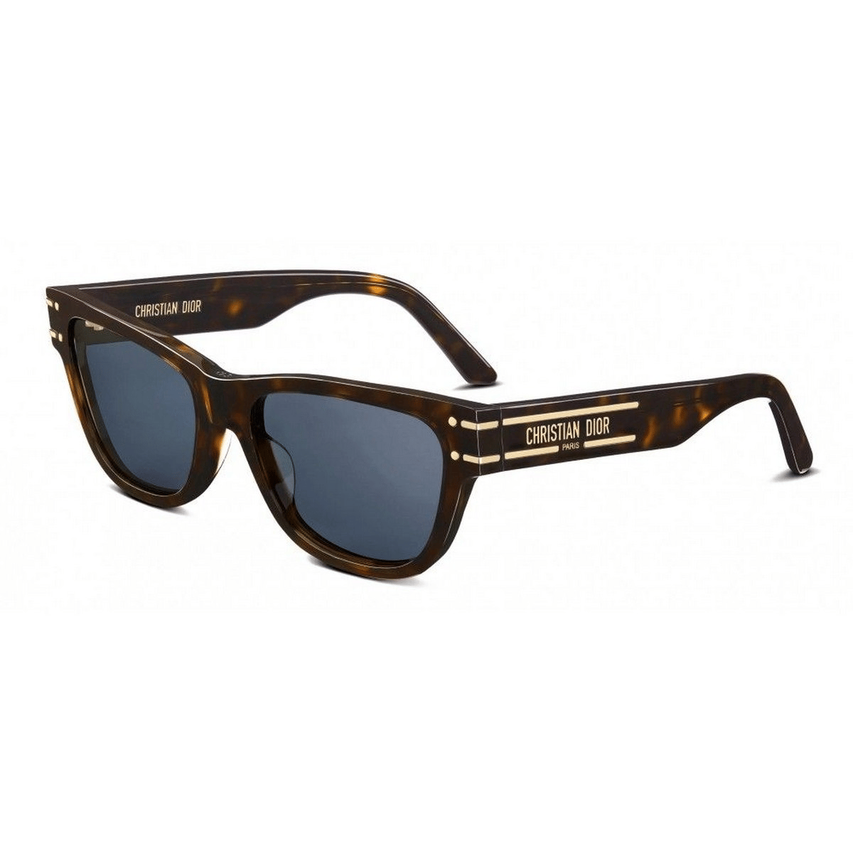 DIOR SIGNATURE S6U 54