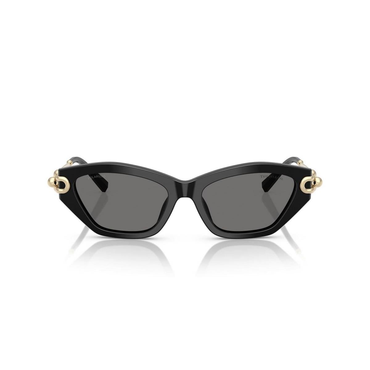 TIFFANY&CO TF4231U 53