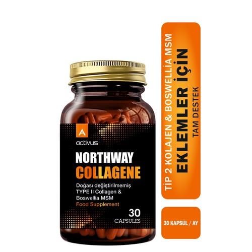 Activus Northway Typeı Iı Collagen 30 Kapsül