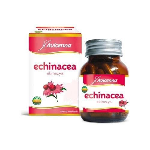 Avicenna Echinacea 60 kp
