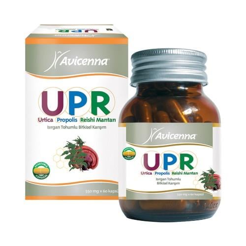 Avicenna UPR  Koruma 60 kp