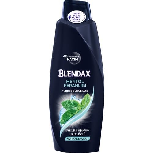 Blendax Erkekler İçin Mentollü Şampuan 550 ml