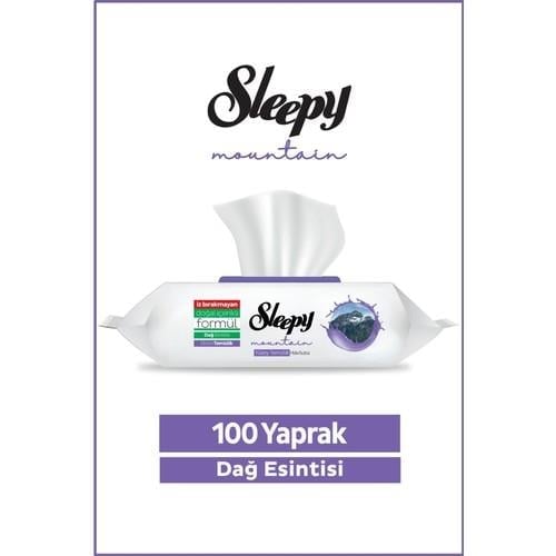 Sleepy Mountain Yüzey Temizlik Havlusu&mendili Dağ Esintisi 100 Yaprak