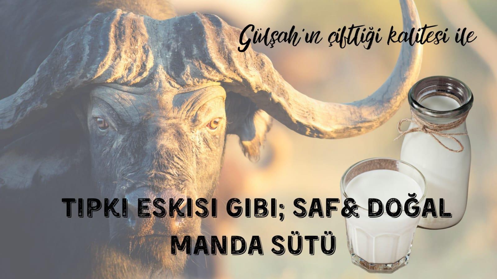 1 LİTRE MANDA SÜTÜ