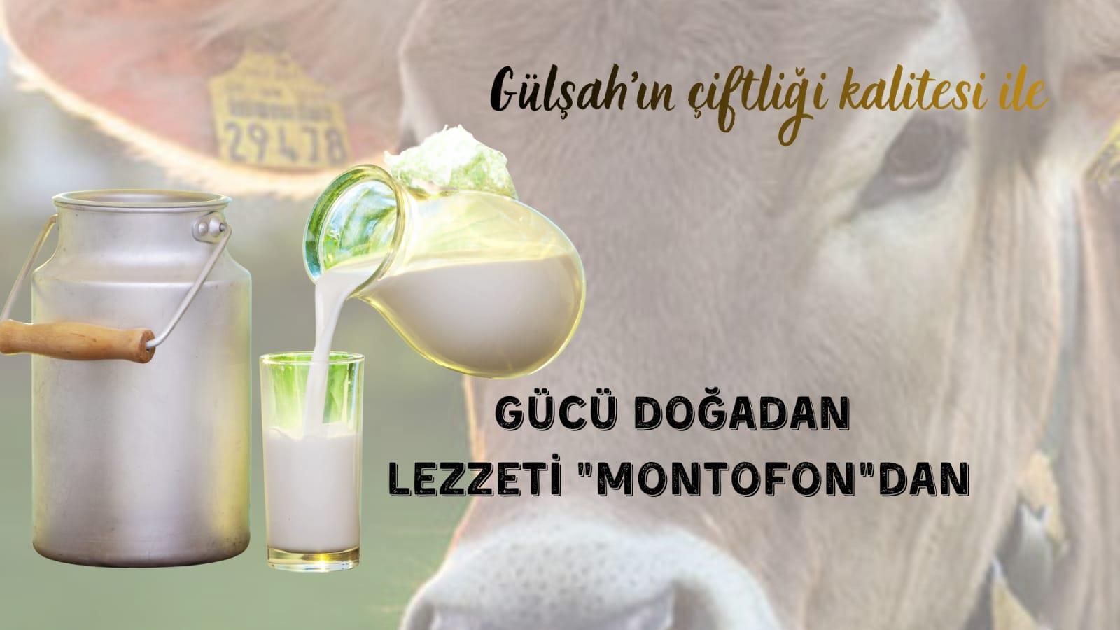 3 LİTRE MONTOFON SÜT