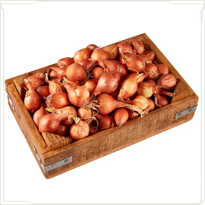 SOĞAN-ARPACIK 250 GR