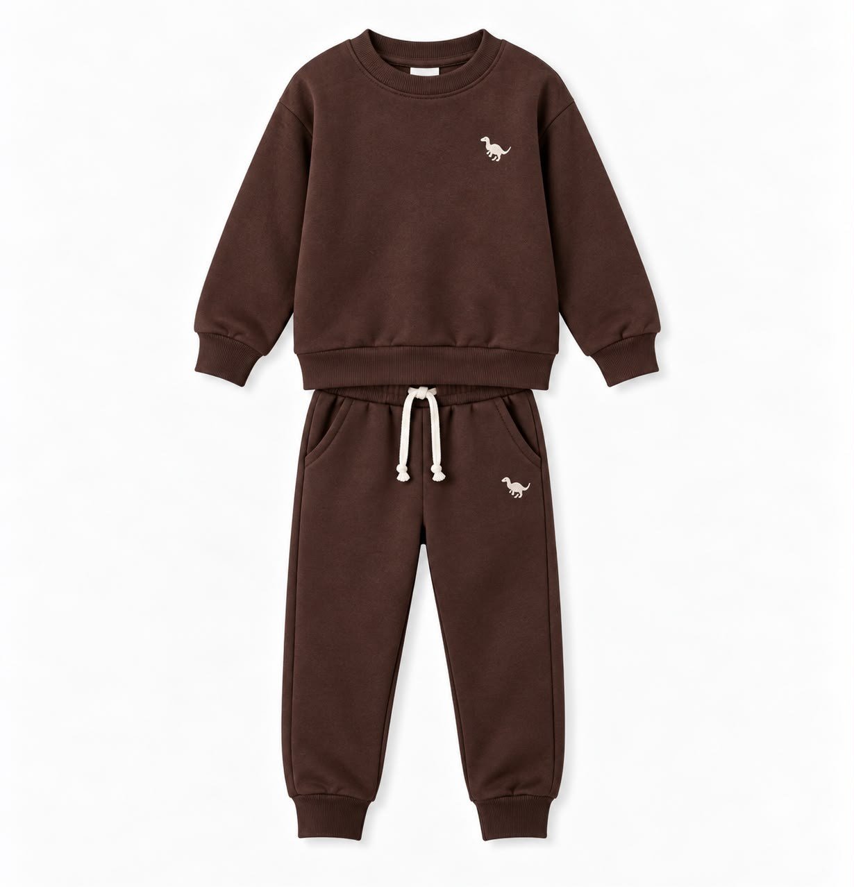 Erkek Çocuk Dinozor Nakışlı Bisiklet Yaka Sweatshirt Pantolon 2’li Alt Üst Takım