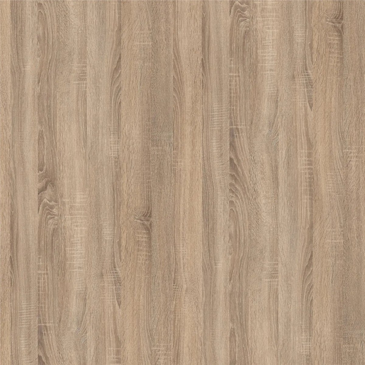 KENAR BANDI PVC 0,8MM 22MM NTR SONOMA MAT