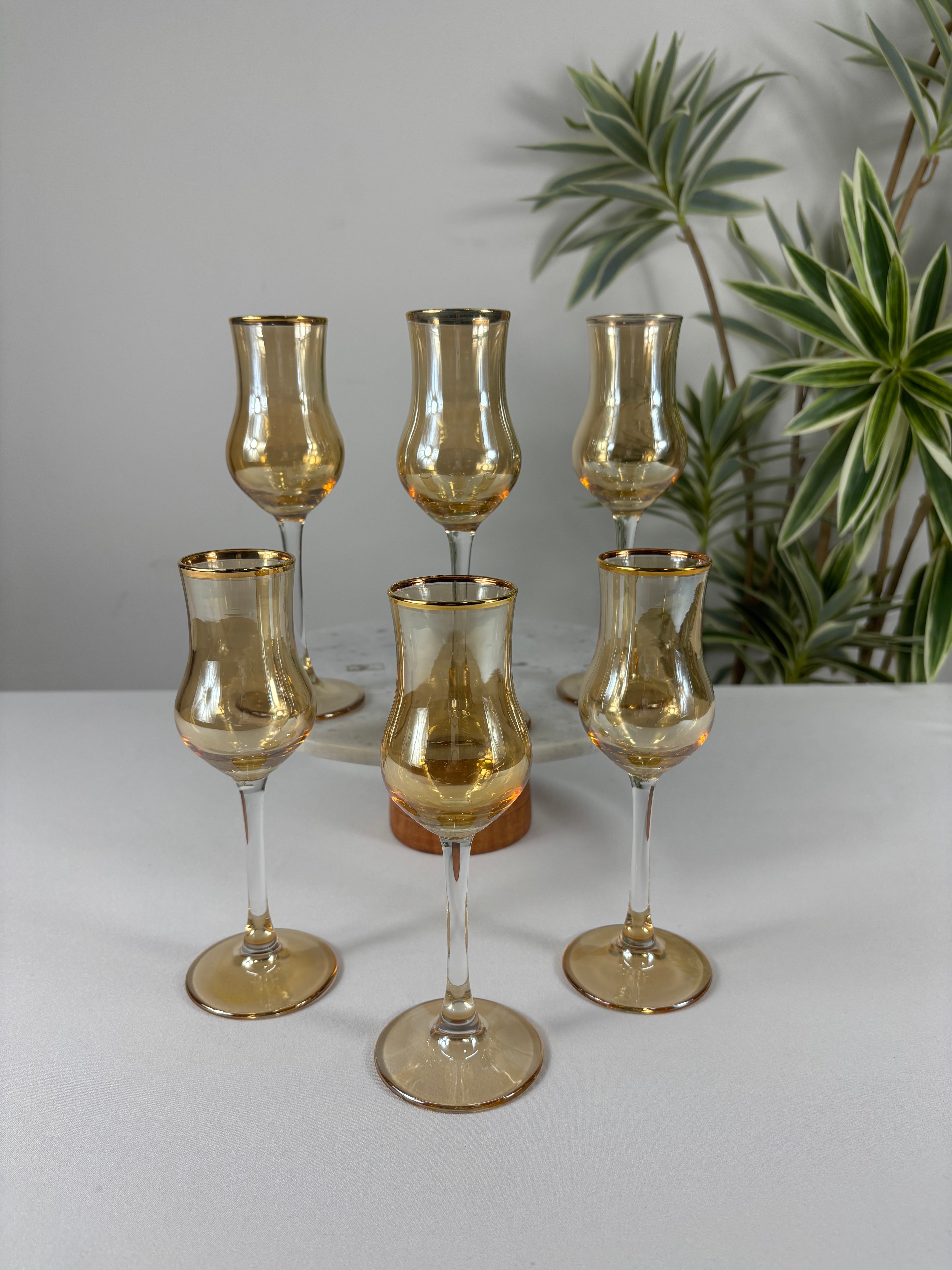 6'LI GRAPPA KAHVE YANI BARDAĞI AMBER