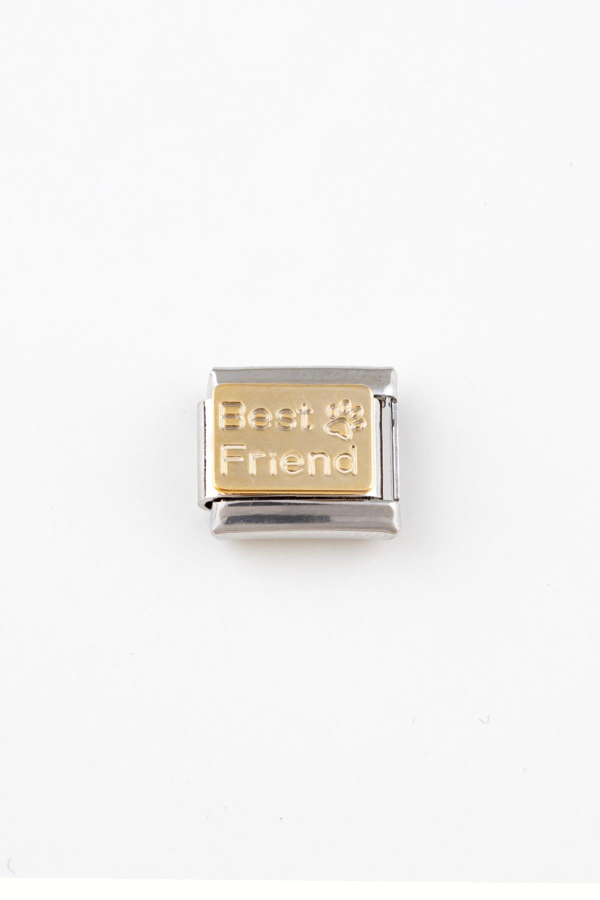 Best Friend Pati Figürlü Paslanmaz Çelik Italyan Charm Bileklik Kişiselleştirme Eki Link 046