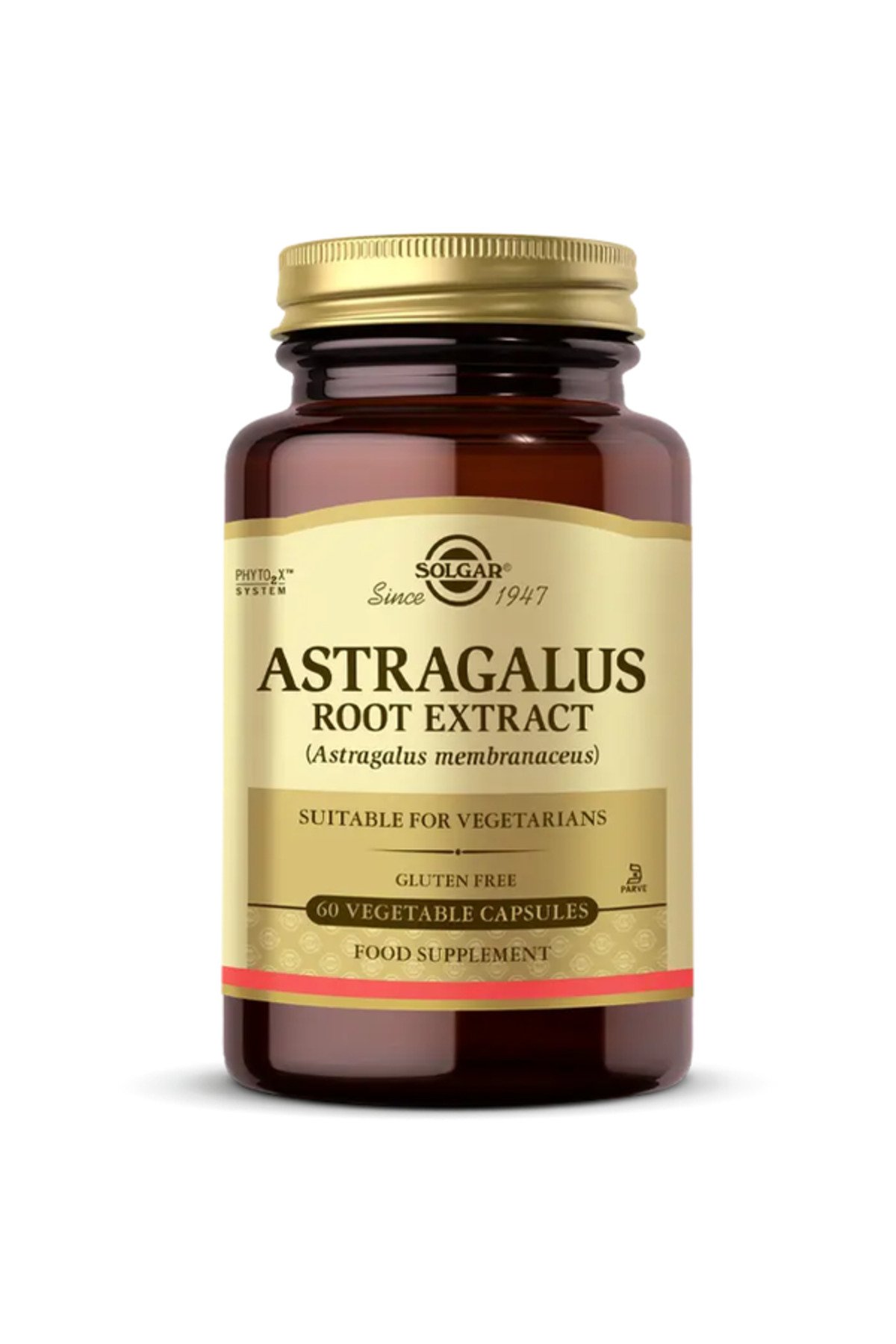 Astragalus Root Extract (Çin Geveni Kök Ekstresi) 60 Kapsül