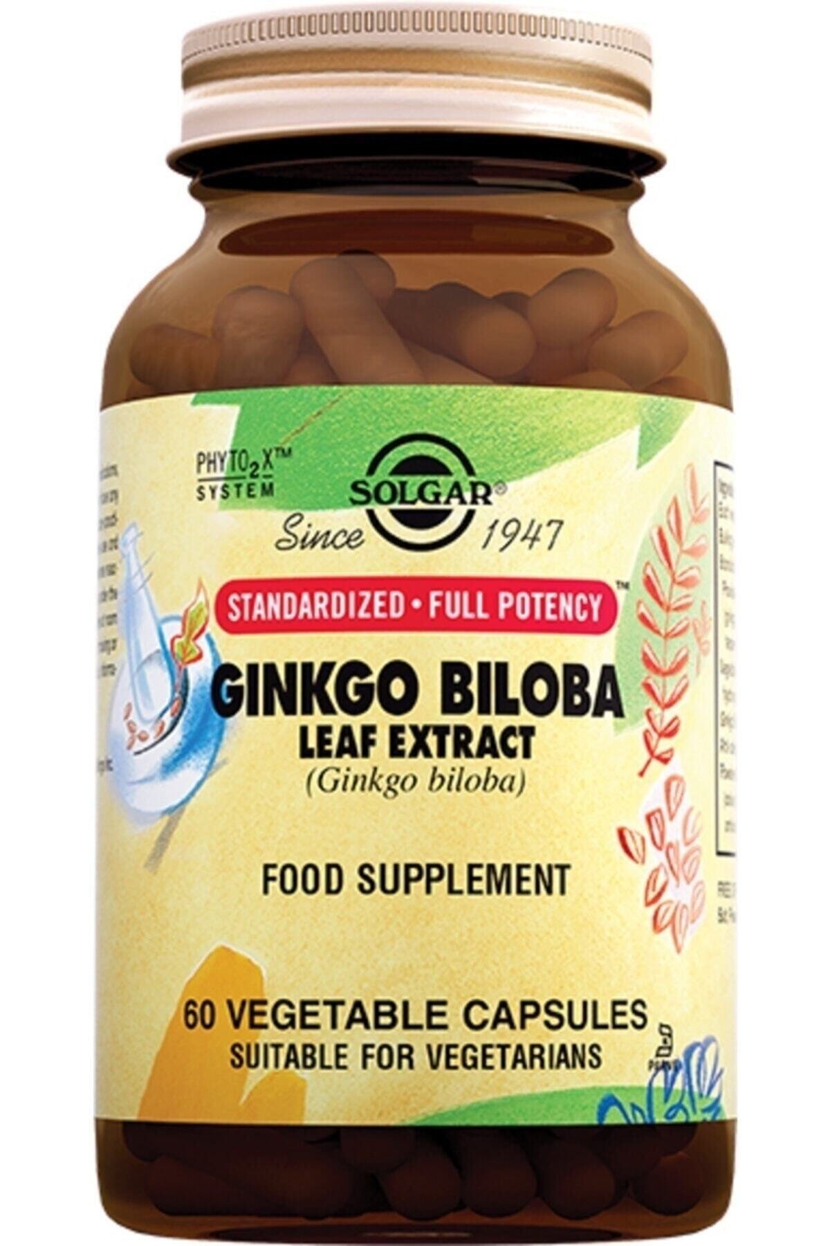 Ginkgo Biloba Leaf Extract 60 Kapsul