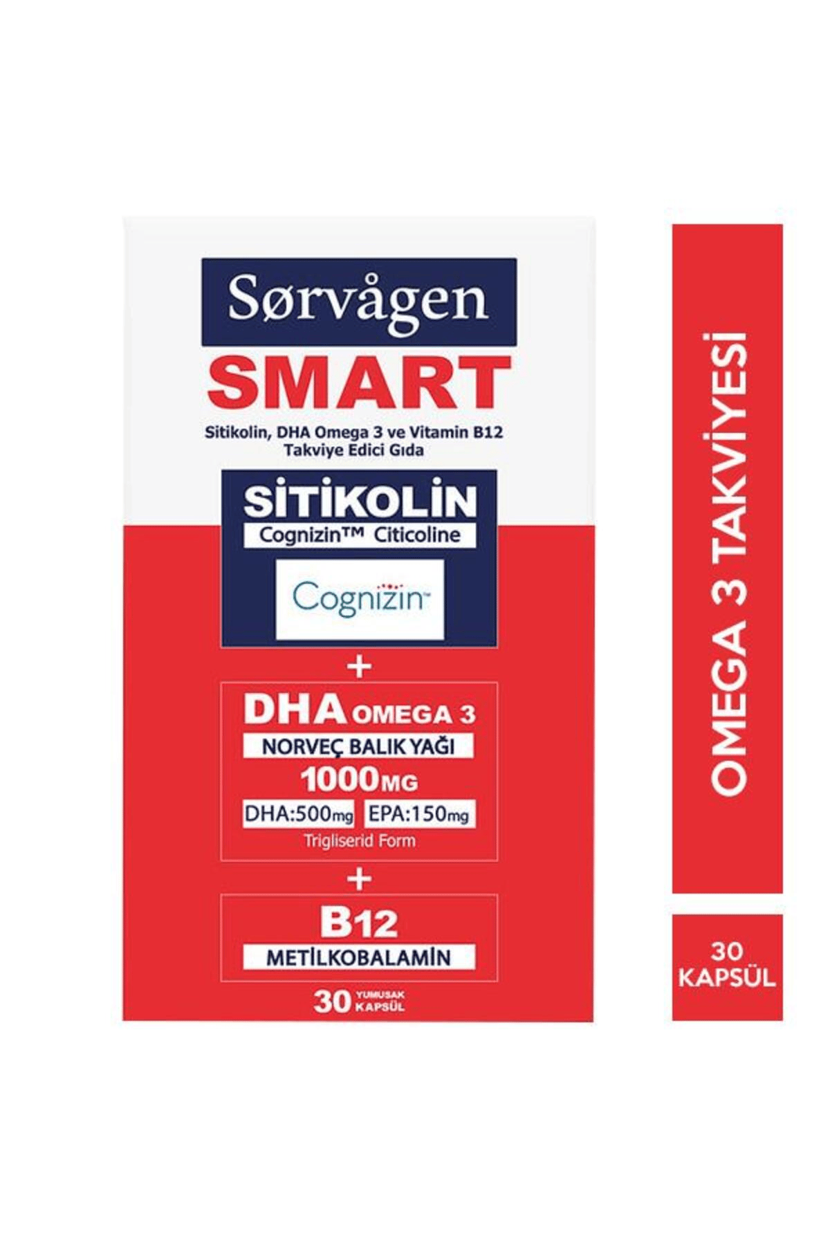 Smart Sitikolin Dha Omega 3 30 Kapsül ( 1 Adet )