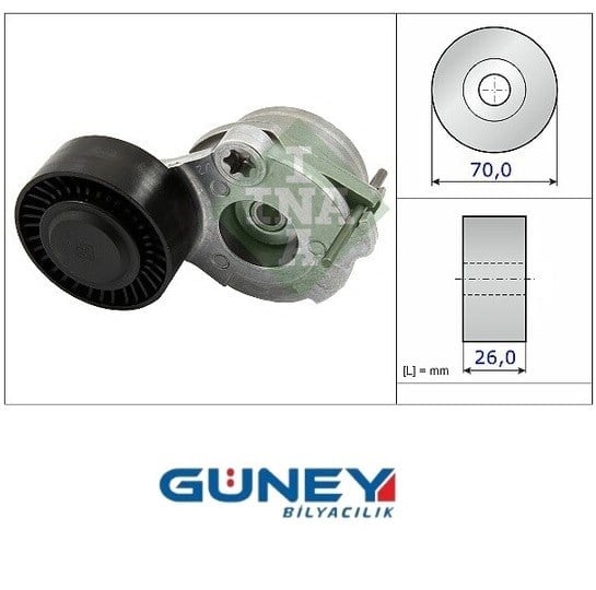 V KAYIŞ GERGİ RULMANI RULMANI VAG (CLAB) GTS T39333 059 903 133 BA T39333 F-566473.10