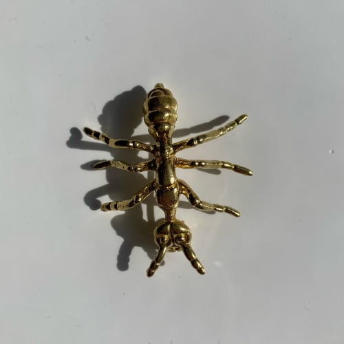 Karınca Broş Küçük