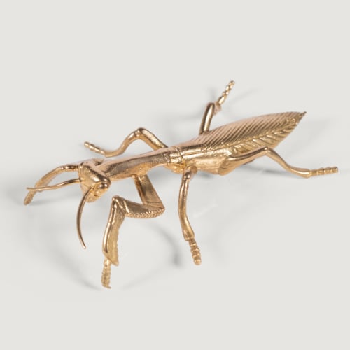 Mantis Dekoratif Obje