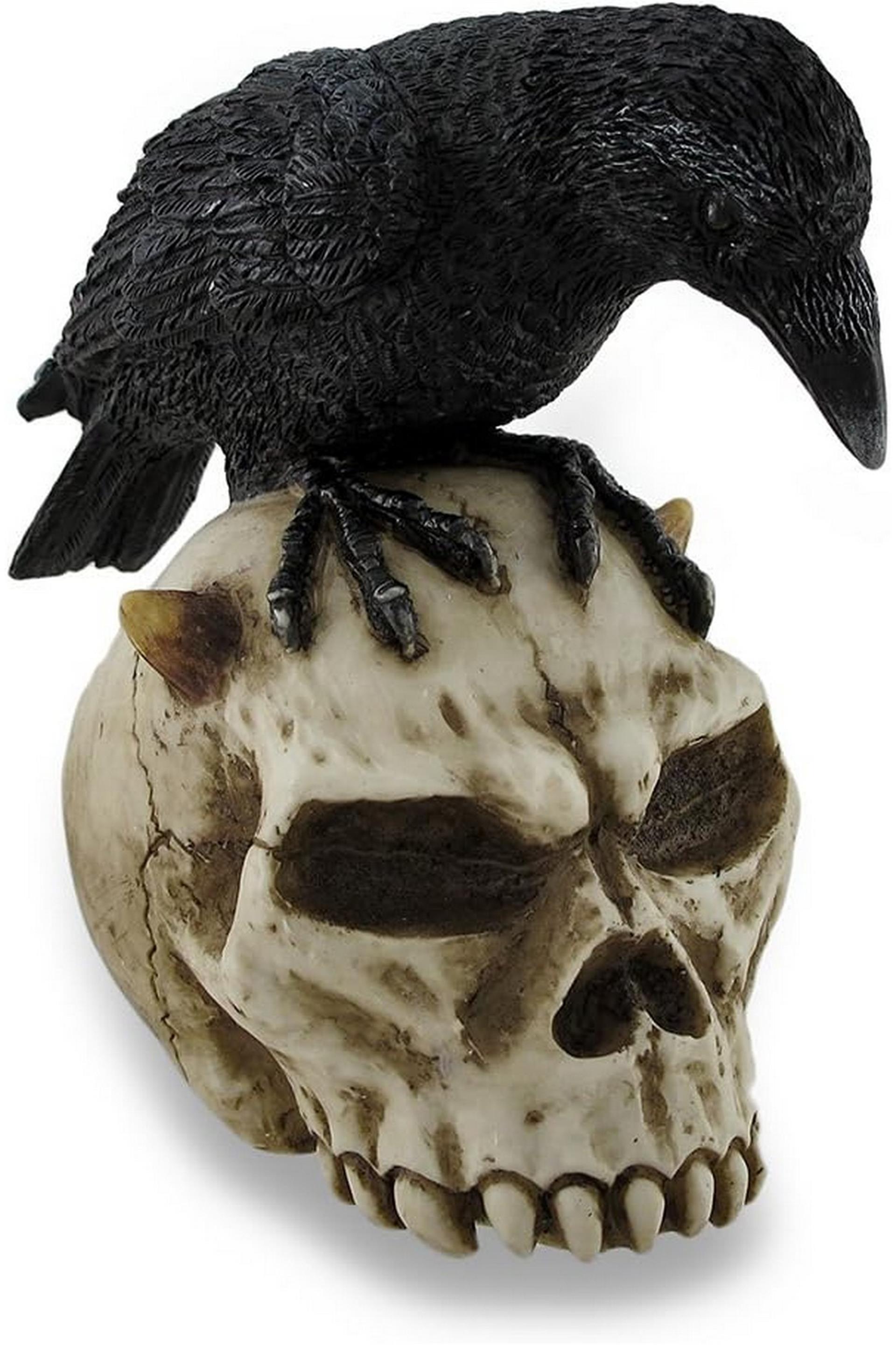 WISE KURUKAFA VE KARGA
