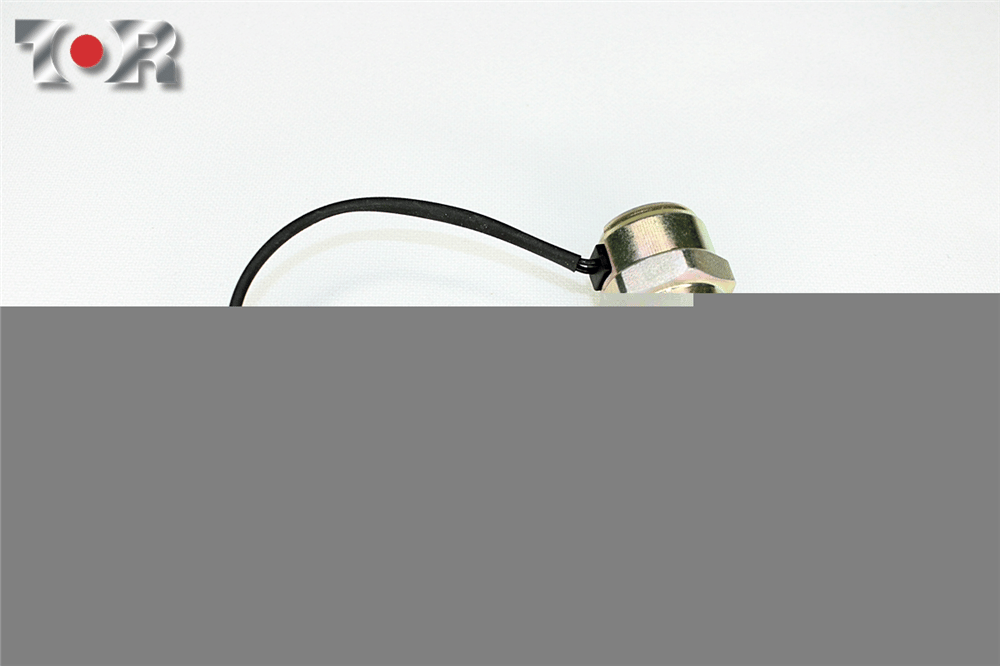 ELEKTROVANA MÜŞÜRÜ PEUGEOT 206, 306 
