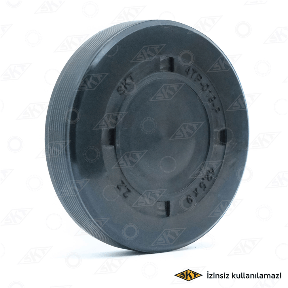 KEÇE BLOK SU TAPASI-KÜÇÜK RENAULT MEGANECLIO 1.6 16V (42,5X-X9) KUTU (20) 