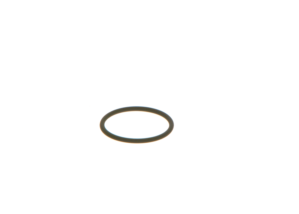 LASTİK HALKA O-RING COMMON RAİL İCN RENAULT 