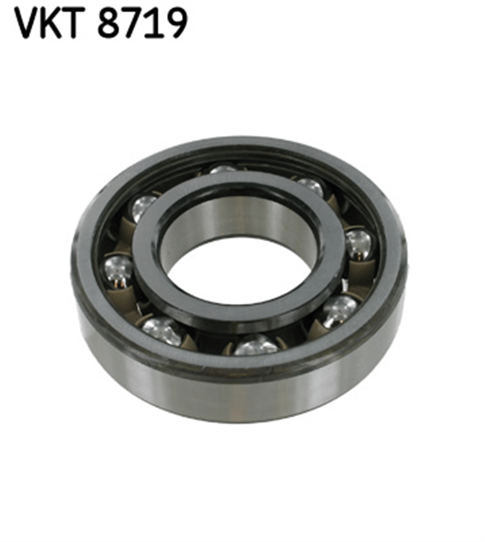 ŞANZIMAN KİTİ 31X60MM SCANIA