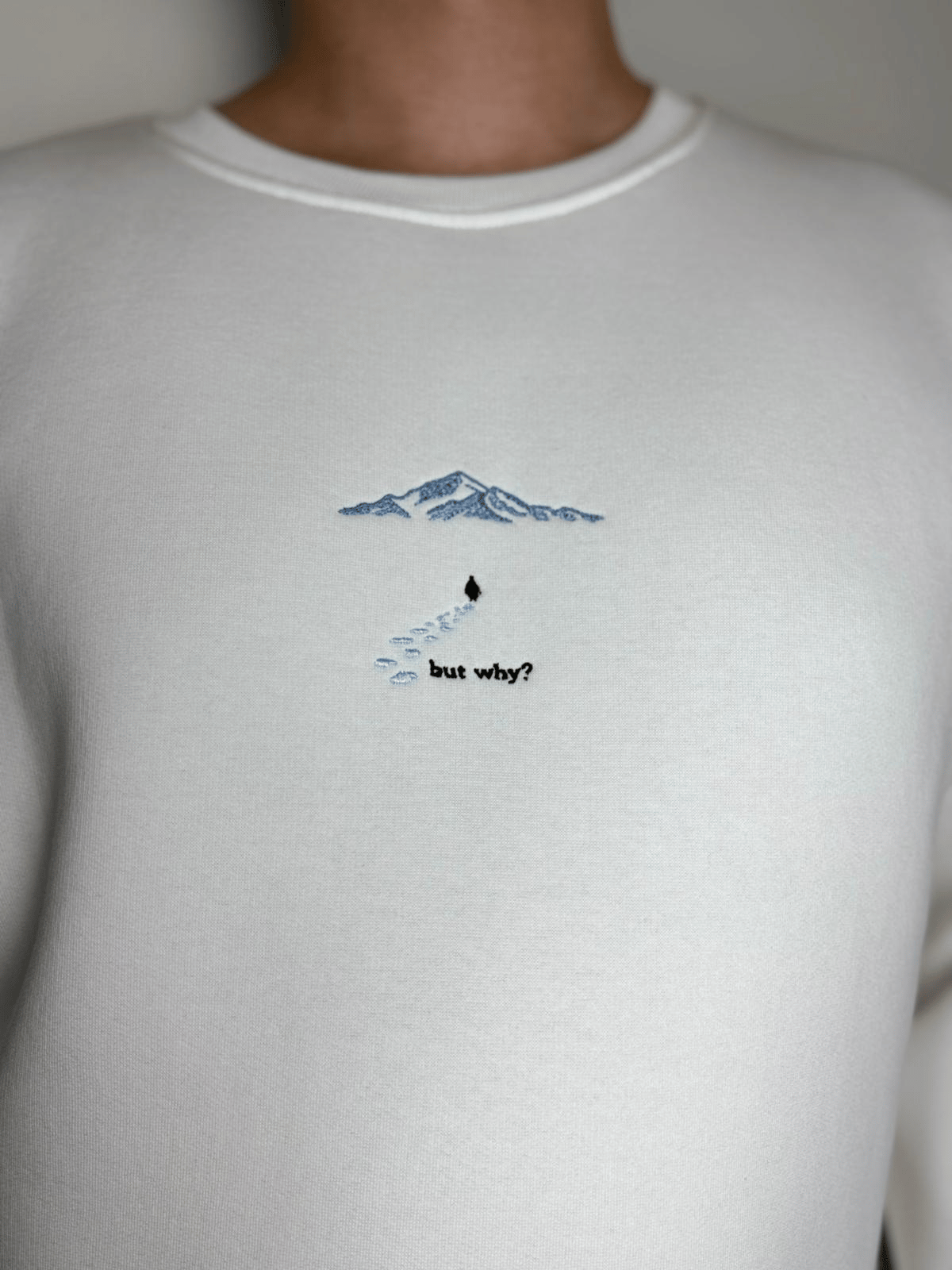 But Why Nakış Desenli Sweatshirt