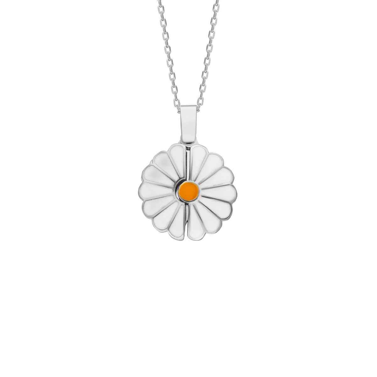Daisy Kolye 718923