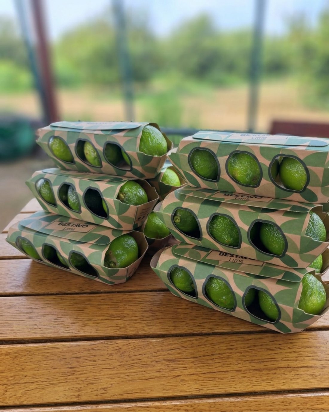 LIME 3'LÜ PAKET