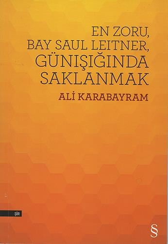 en-zoru-bay-saul-leitner-gunisiginda-s-e3-bb1.jpg