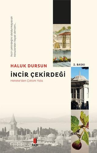 incir-cekirdegi-0f2139.jpg