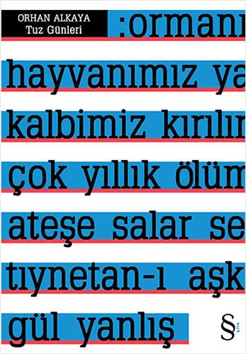 tuz-gunleri--8e6e-.jpg