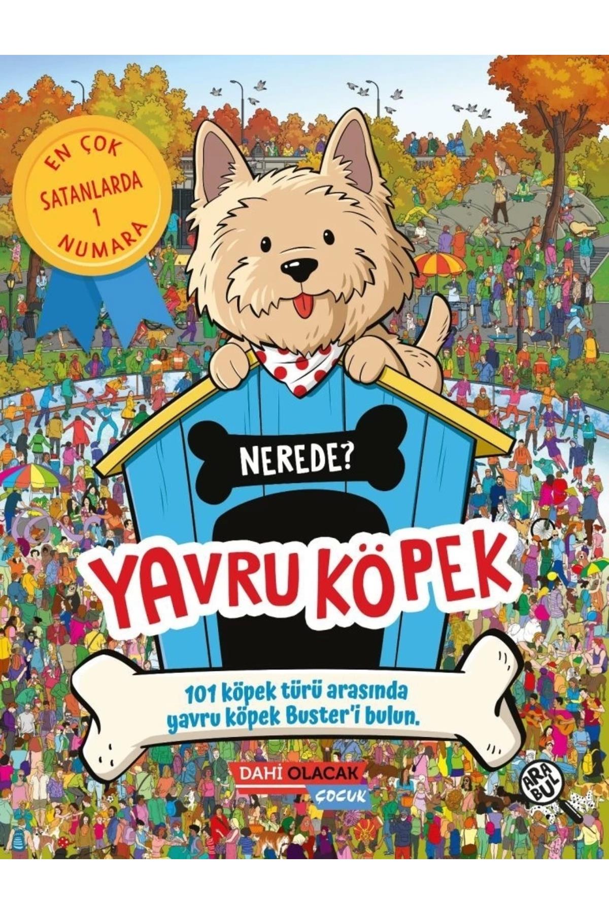 Yavru Köpek Nerede ?