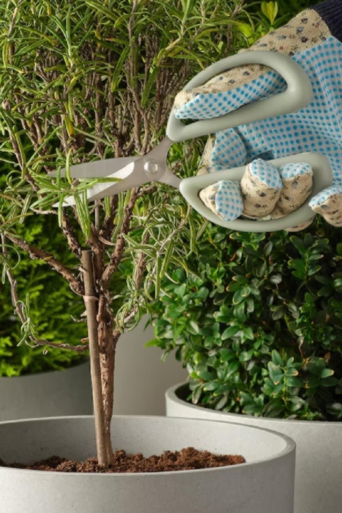 Brytböna Bitki Budama Makası Açık Yeşil 16 Cm