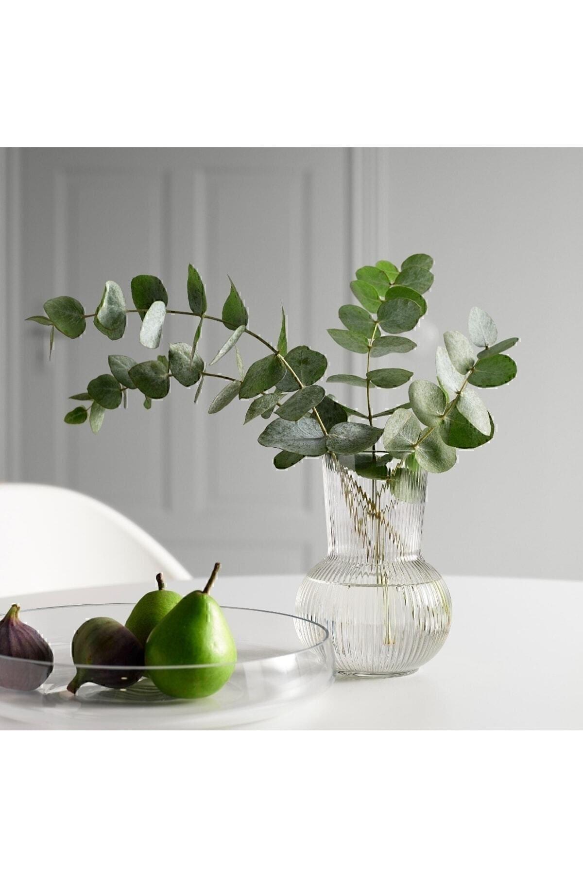 Padrag Vazo 17 Cm 10470991