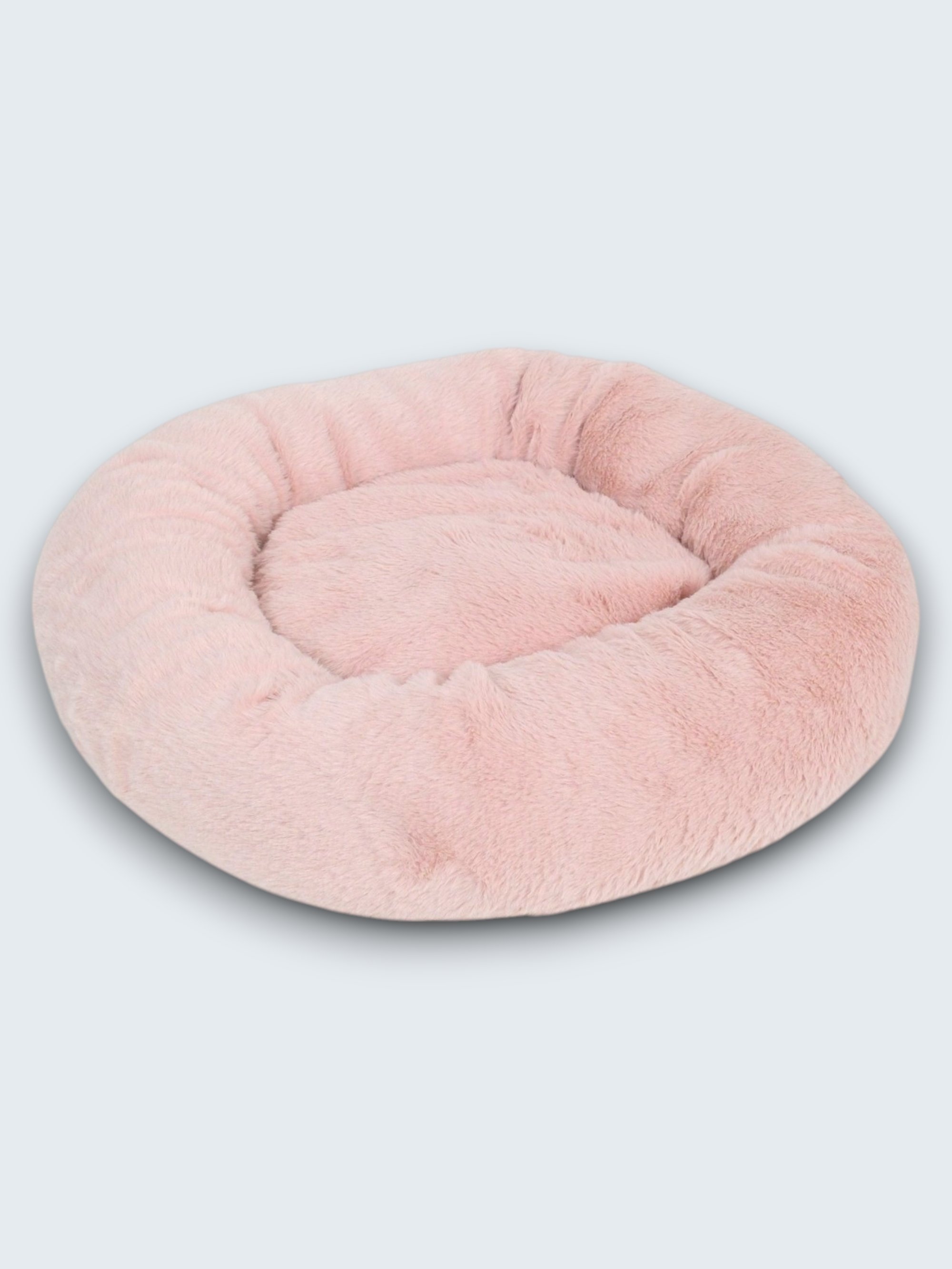Flamingo Pembe