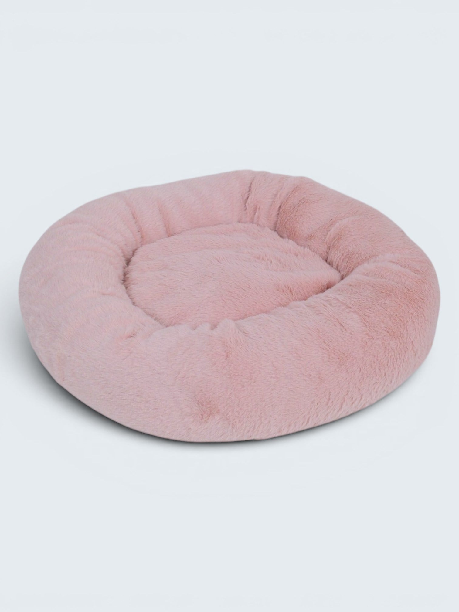 Flamingo Pembe