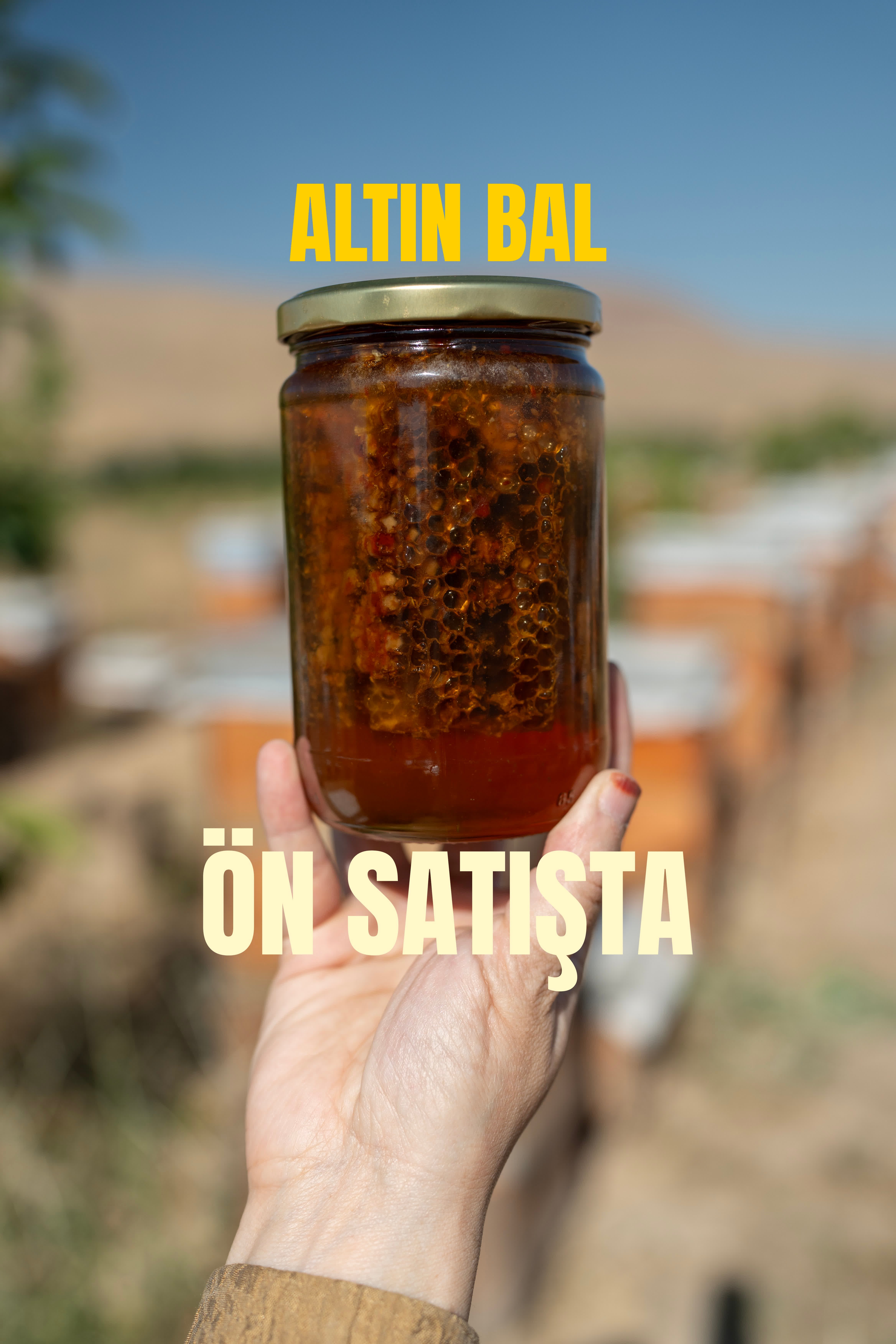  Altın Bal