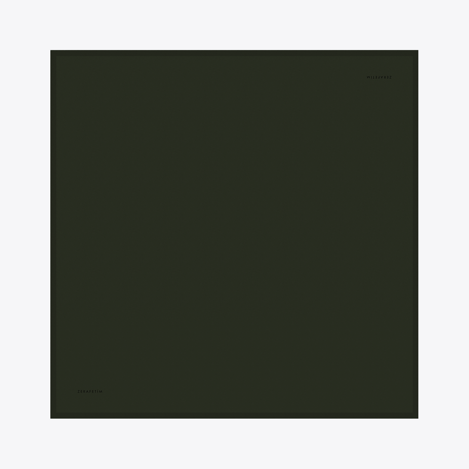 Plain Desen İpek Twill Eşarp