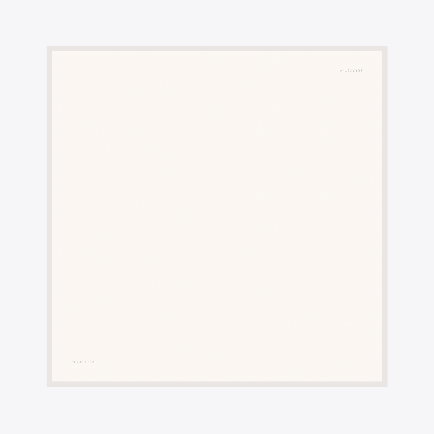 Plain Desen İpek Twill Eşarp