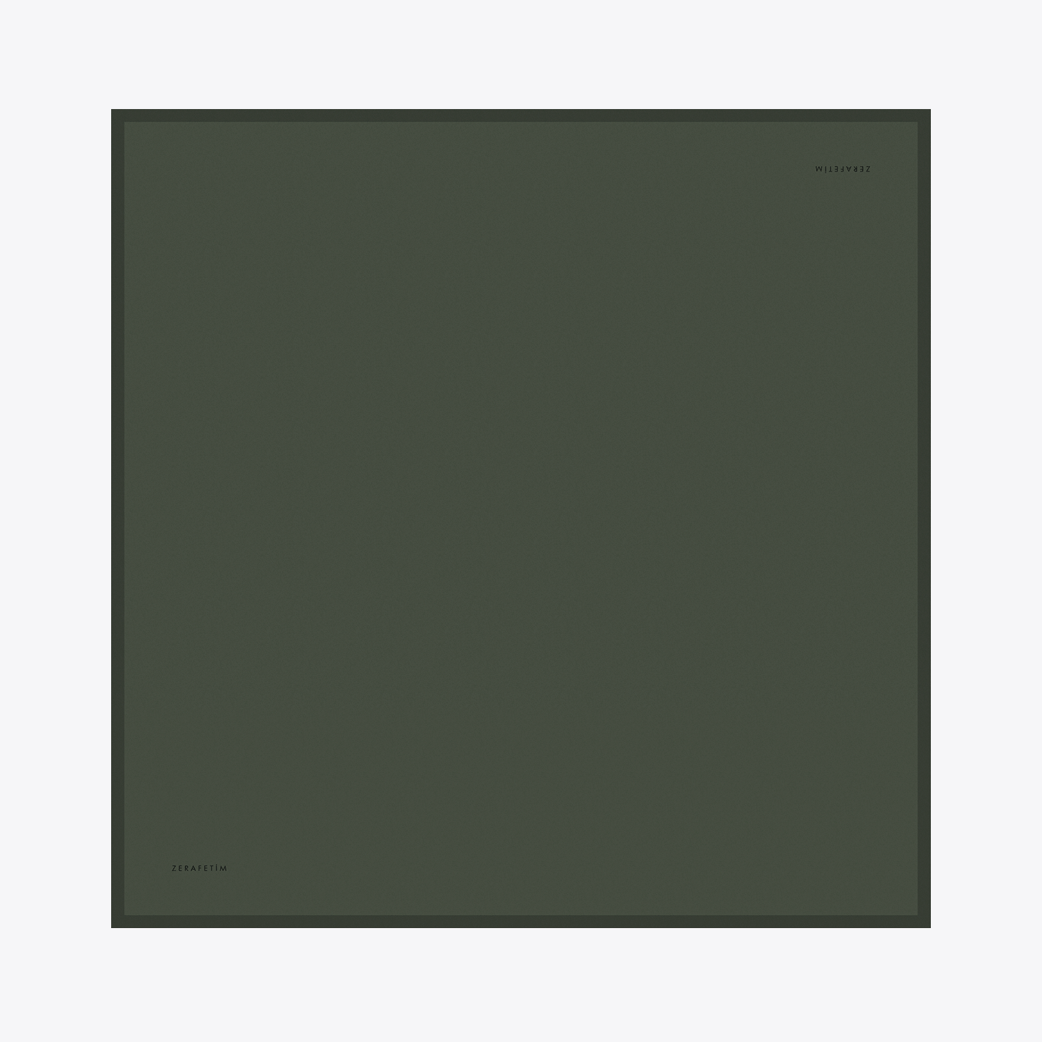 Plain Desen İpek Twill Eşarp