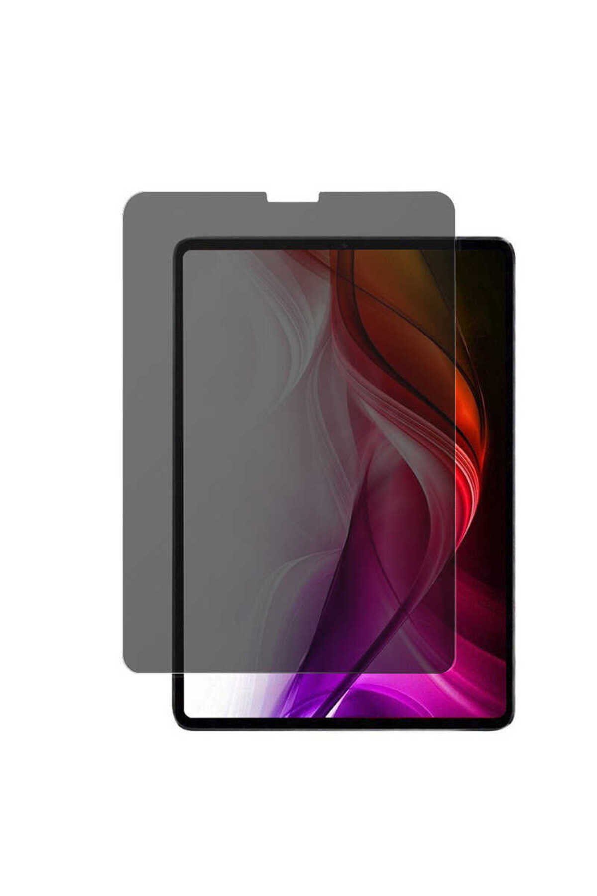 iPad Air 10.9 2022 (5.Nesil) Uyumlu NVTH Tablet Privacy Temperli Cam Ekran Koruyucu-Siyah